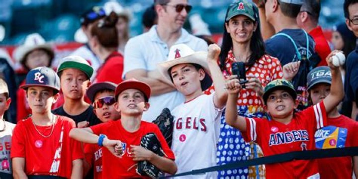 Baseball Fan