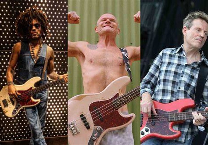 Bass Player