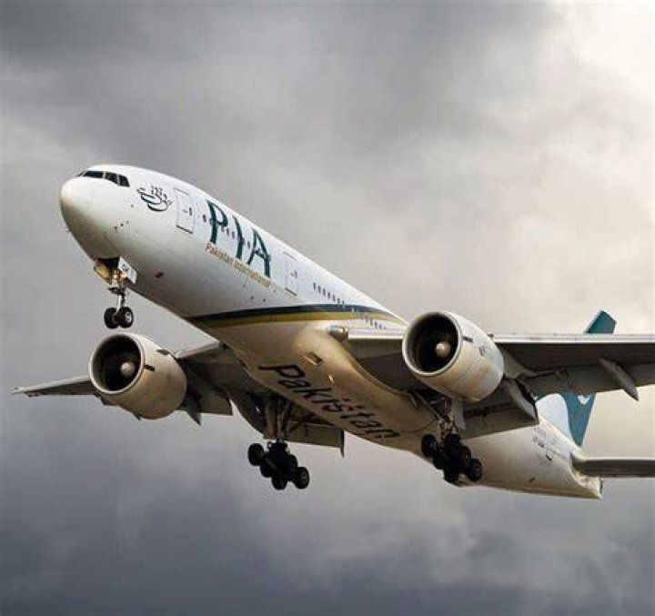 Beautiful Pia Beautiful Pia