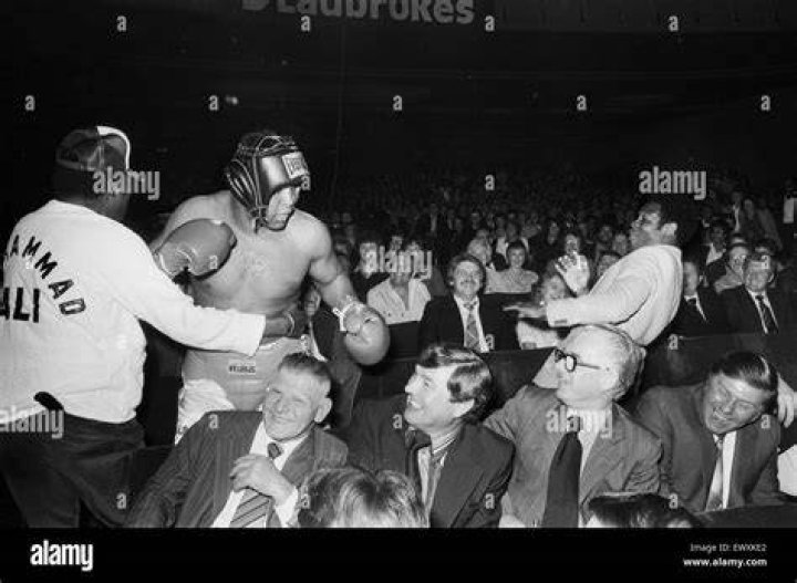 Boxing Spectator