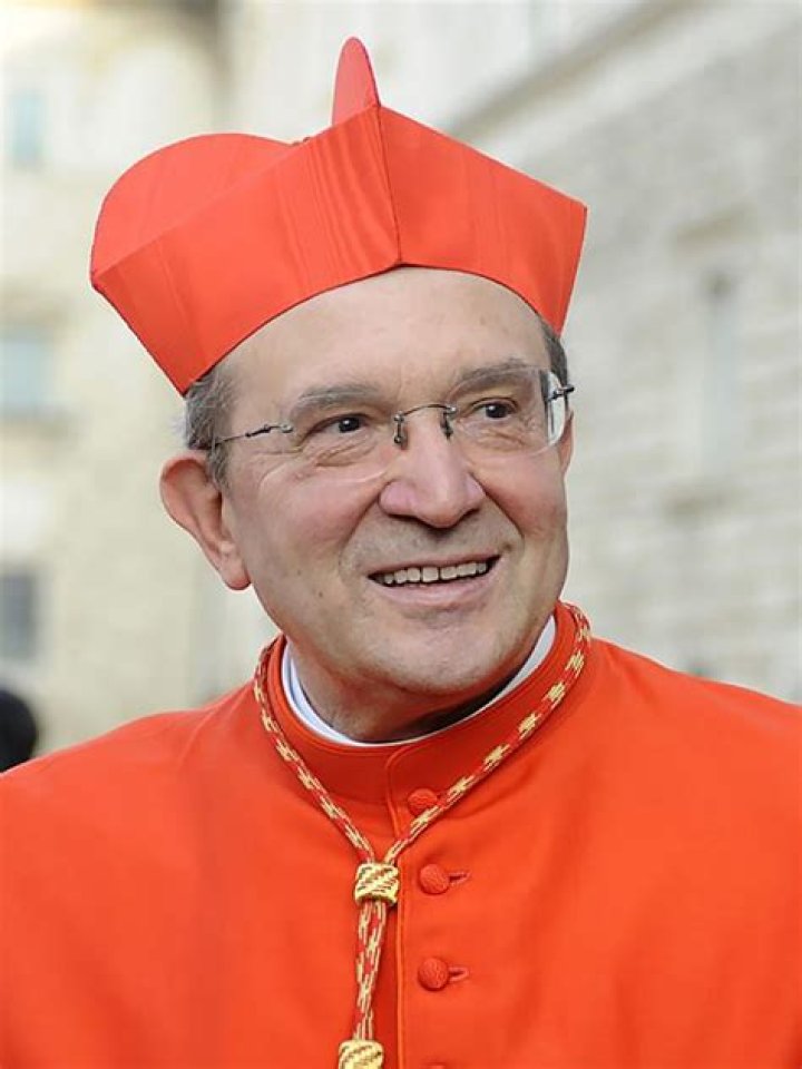 Cardinal Pugini