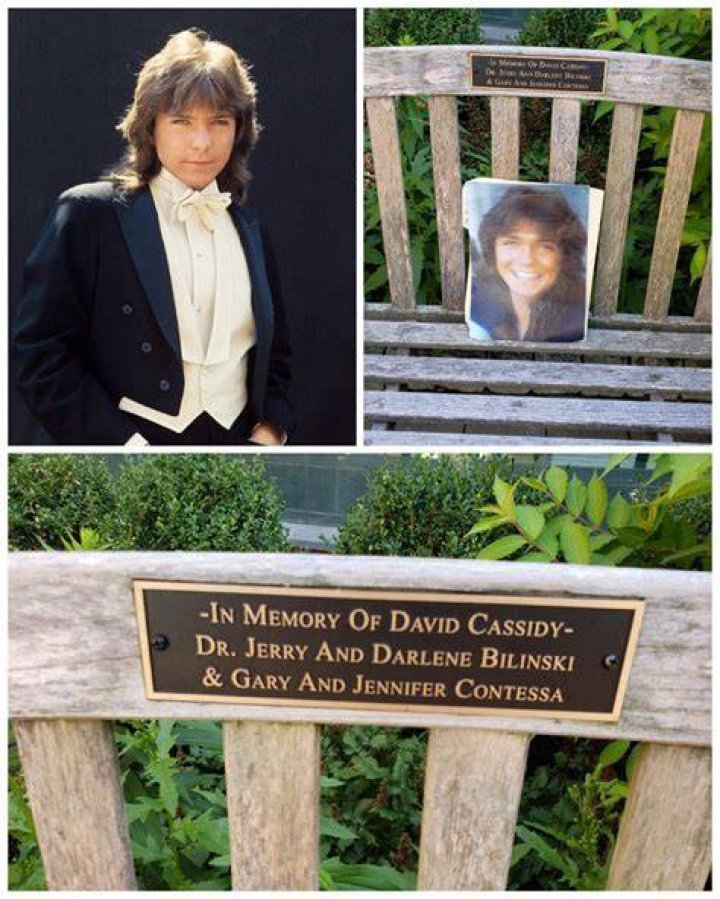 Cassidy: A Music and Acting Success Story