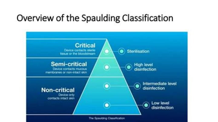 Dr. Spaulding