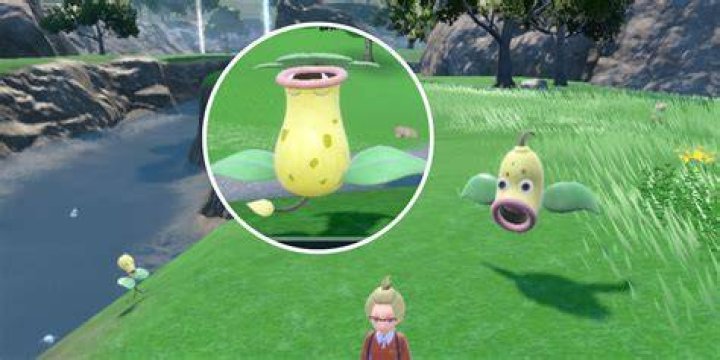 Evolving Weepinbell in Pok&eacute;mon Scarlet and Violet