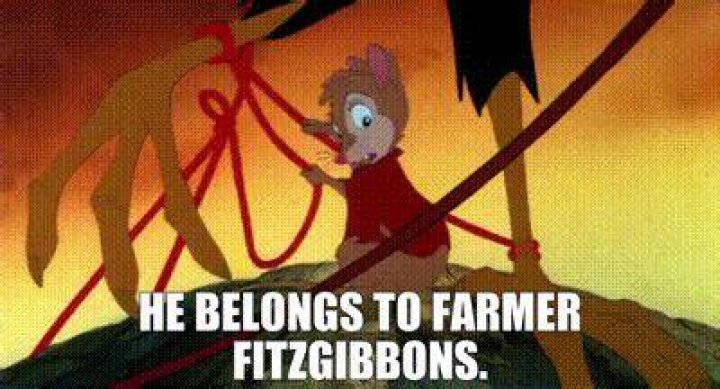 Farmer Fitzgibbons