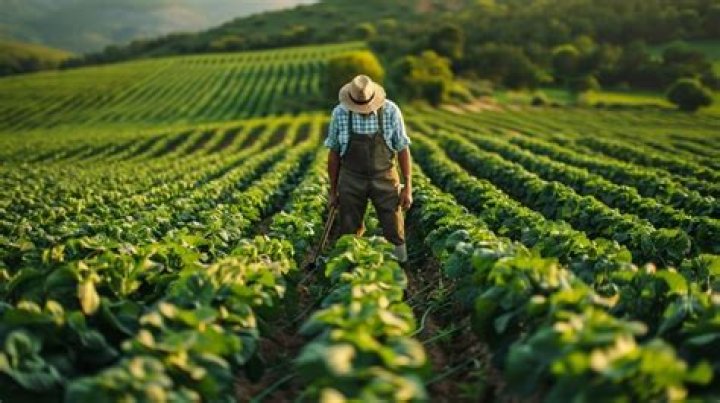 Farmer