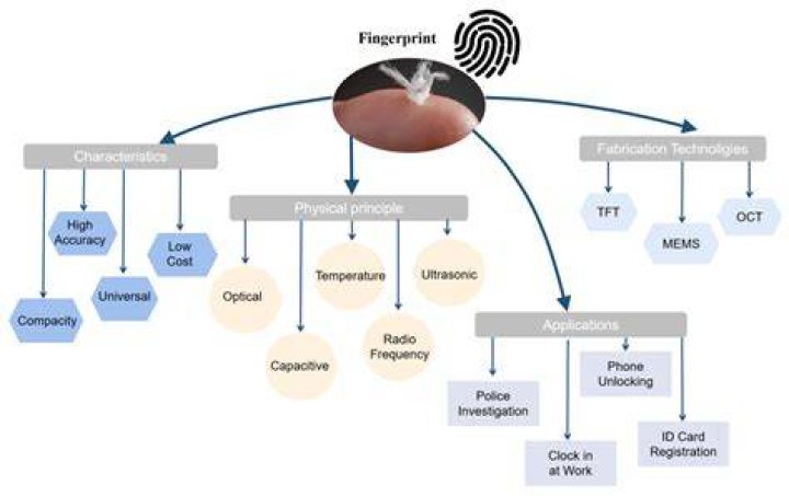 Fingerprint Cop