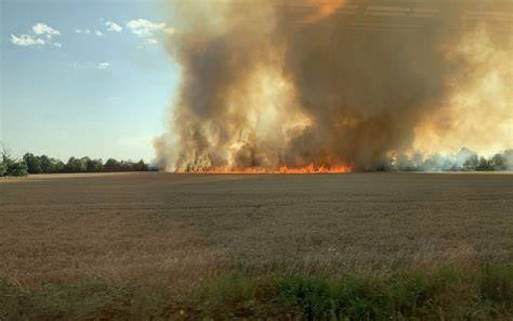 Flammen