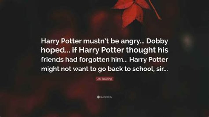 Harry Potter mustnt return to hogwarts Harry Potter mustn't return to hogwarts