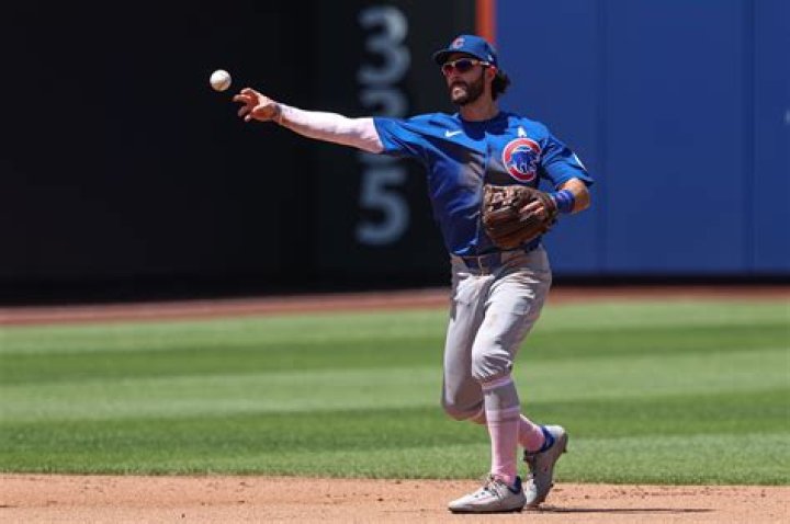 Himself - Chicago Cubs Shortstop