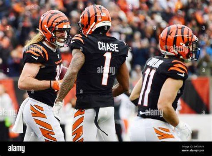Himself - Cincinnati Bengals Wide Receiver / Himself - Baltimore Ravens Wide Receiver