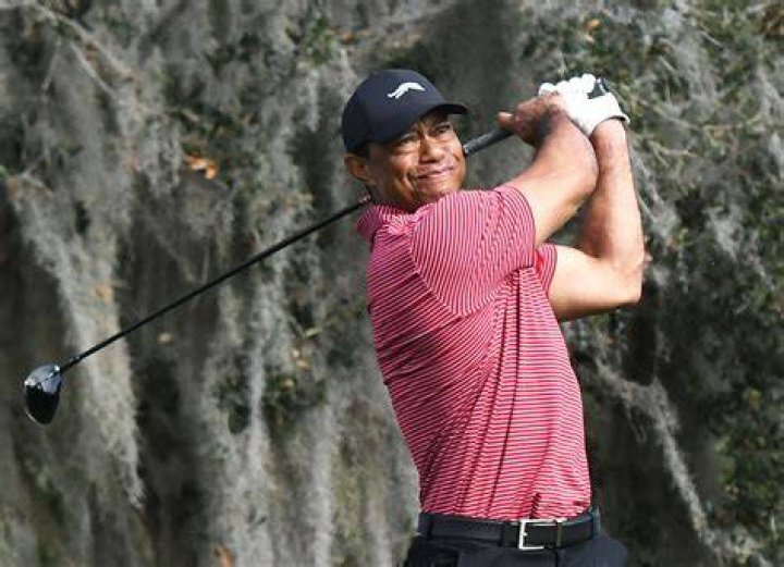 Himself - Golfer
