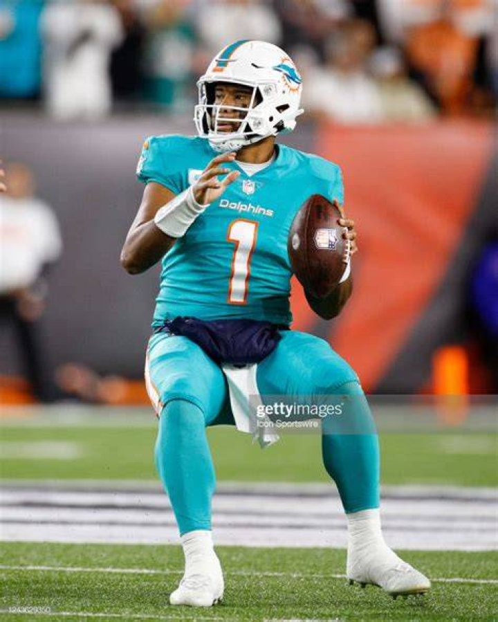Himself - Miami Dolphins Quarterback