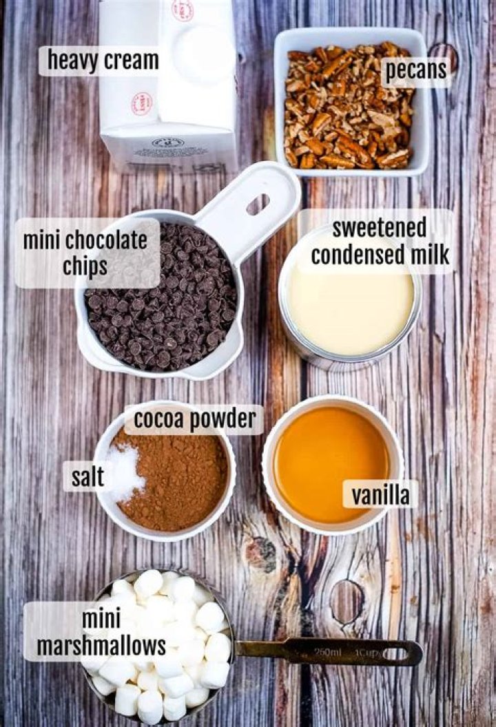 Ingredients for rocky road ice cream (nuts, cream, cocoa powder, chocolate chips, sweetened condensed milk)