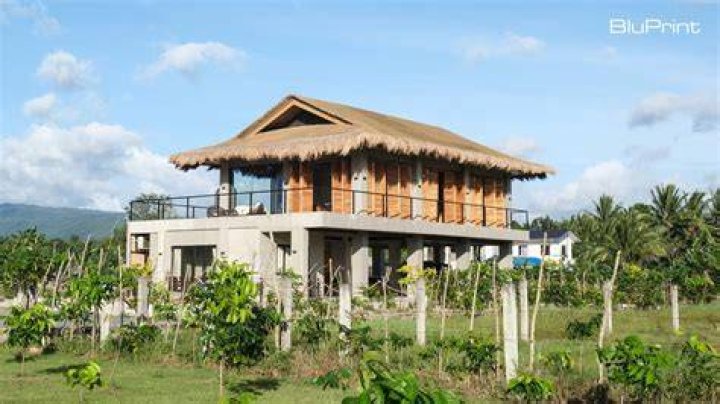 Kubo