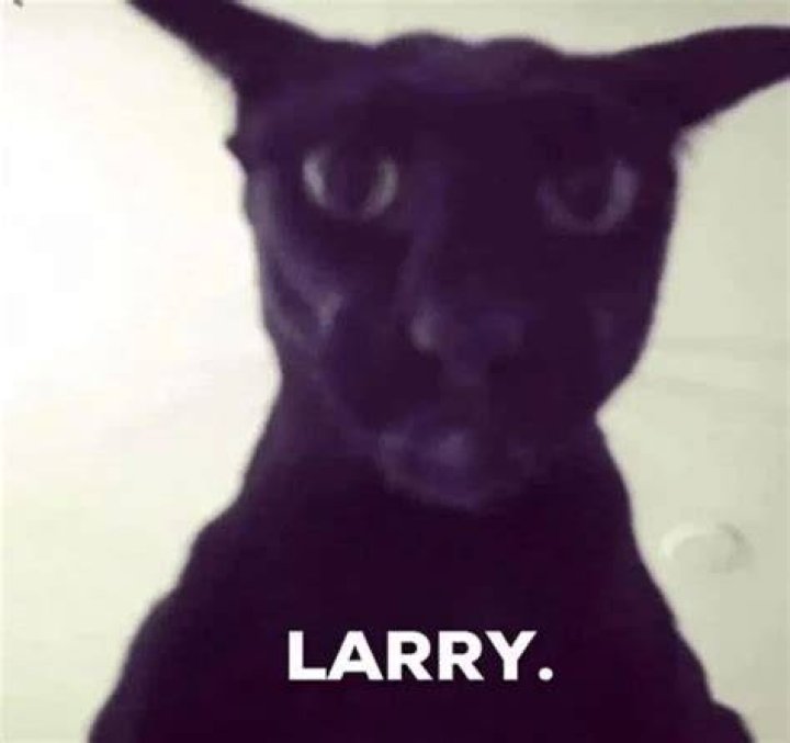 Larry Le Beau