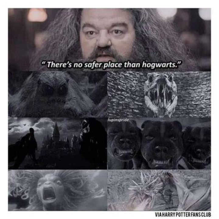 No Safer Place Harry Potter Meme No Safer Place Harry Potter Meme