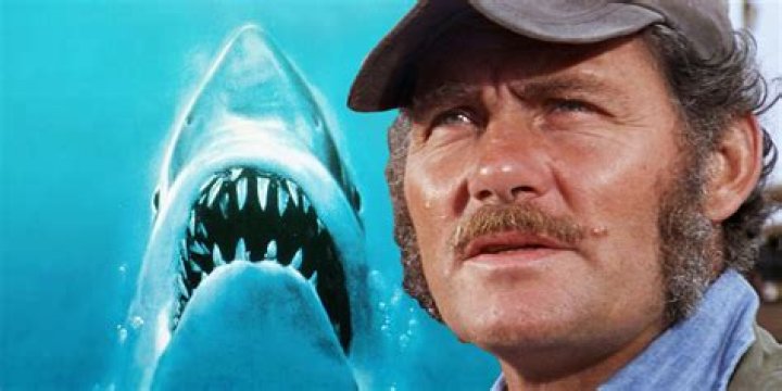 Quint