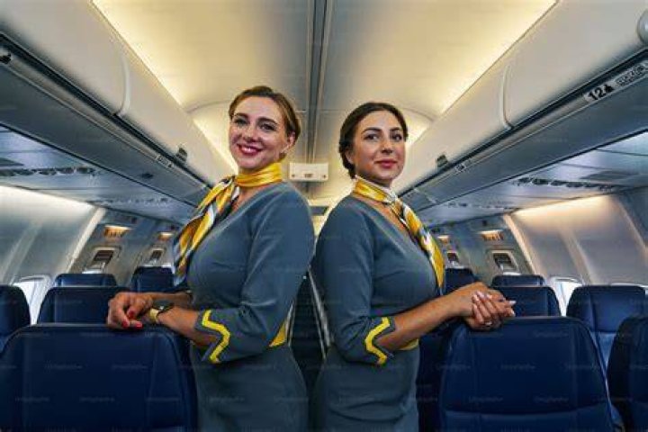 Stewardess