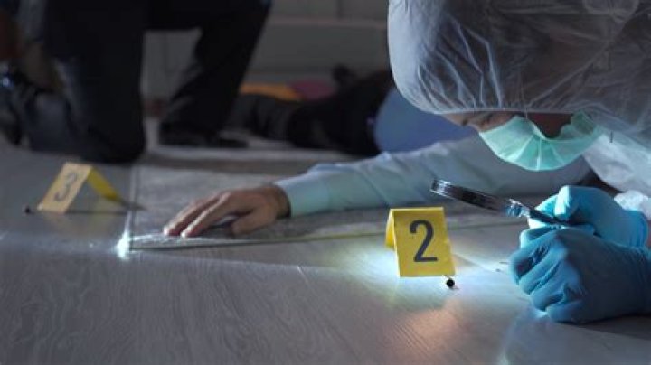 The Criminologist