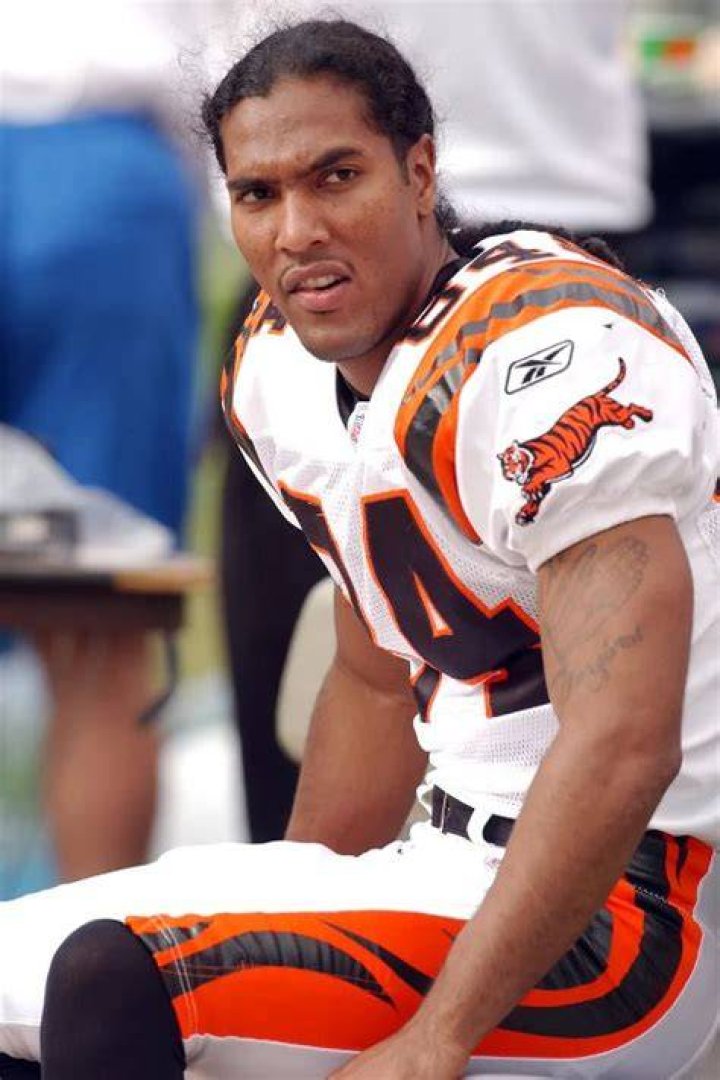 T.J. Houshmandzadeh Net Worth