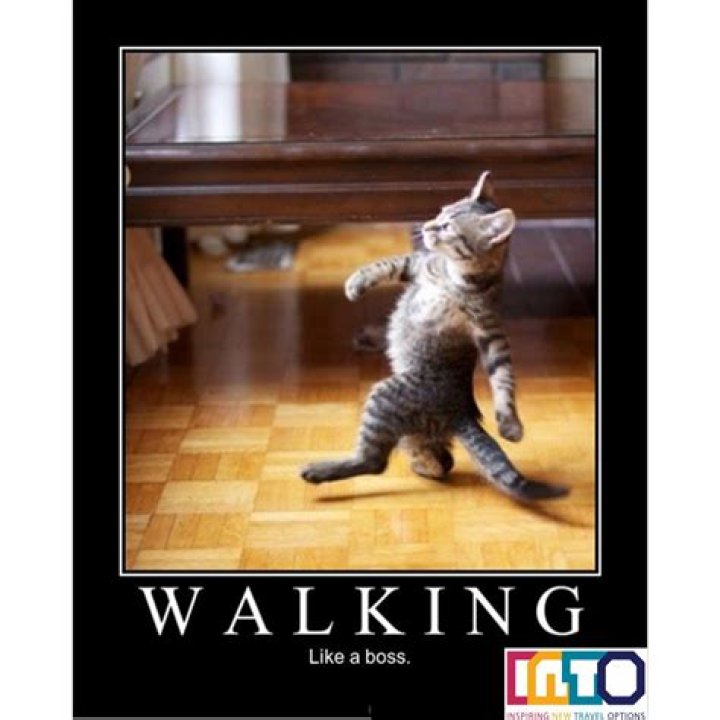 Walking Boss